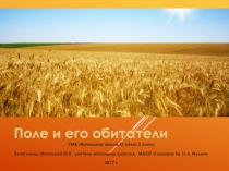 Презентация по окружающему миру Поле и его обитатели (2 класс), УМК Начальная школа 21 века