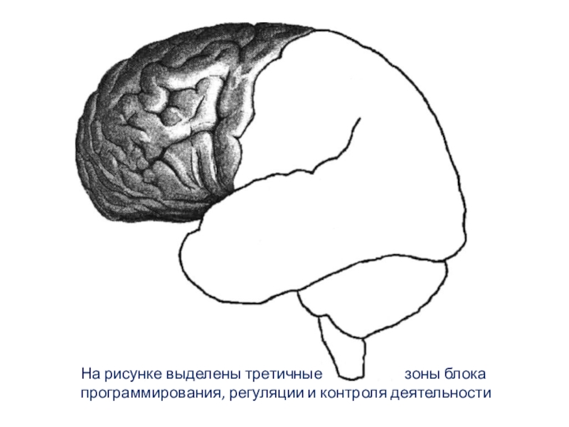 Выделенная на рисунке область называется