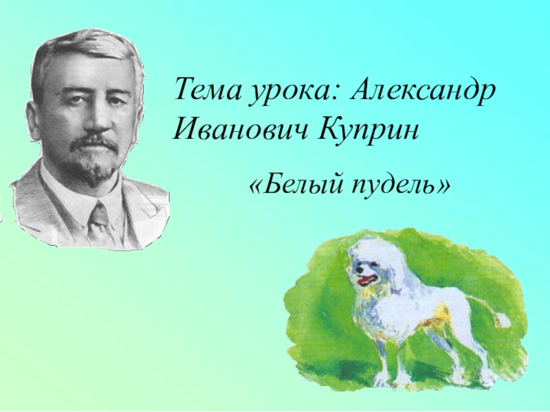 Белый пудель куприн презентация