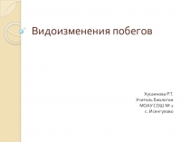 Презентация по биологии на тему Видоизменения побегов№