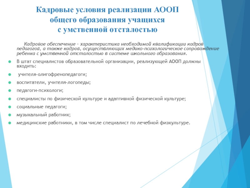 Вариант адаптированной образовательной программы предназначен для обучающихся. Условия реализации АООП. Кадровые условия. Условия адаптированной общеобразовательной программы. Адаптированная образовательная программа кадровые условия.