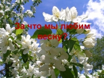 Презентация викторины для ГПД За что мы любим весну