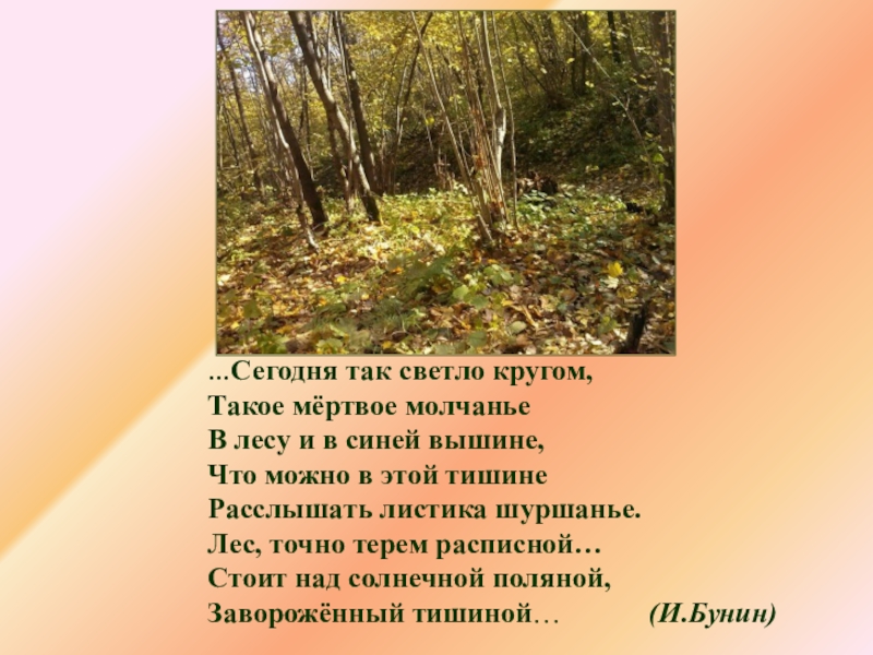 Пришвин осеннее утро текст. Сегодня так светло кругом. Стихотворение сегодня так светло кругом. Бунин сегодня так светло. Стихотворение Бунин сегодня так светло кругом.