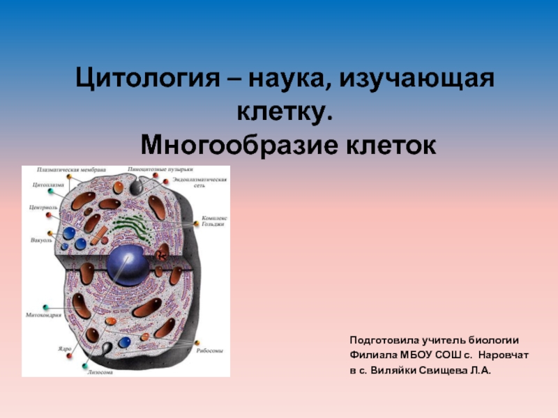 Презентация на тему клетка