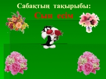 Презентация қазақ тілі тақырыбы: Сын есім(2 класс)