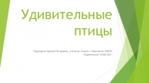 Презентация по биологии на тему: Удивительные птицы