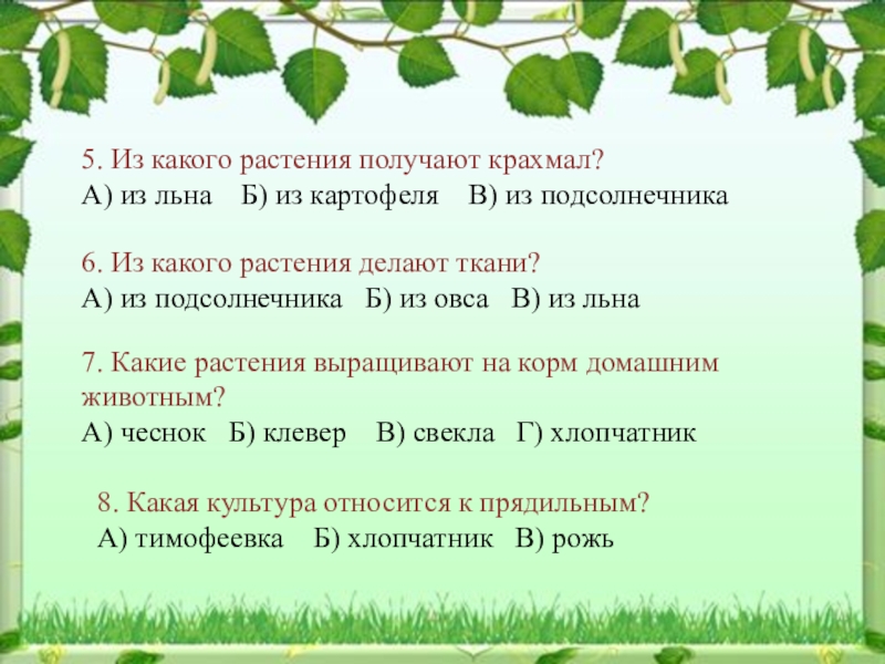 Растениеводство 3 класс проверочная работа