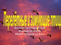 Презентация Перелетные и зимующие птицы