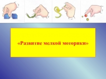 Презентация Развитие мелкой моторики
