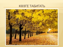 Презентация Көз билгеләре(2 класс)