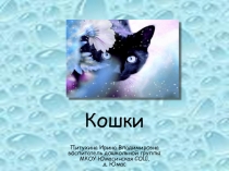 Презентация на ООД по познавательному развитию на тему Кошки