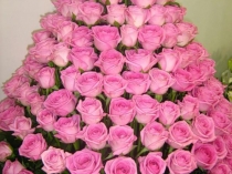 Презентация к мероприятию  8 Марта