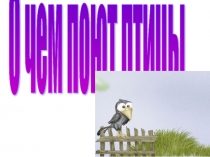 Презентация по математике О чём поют птицы