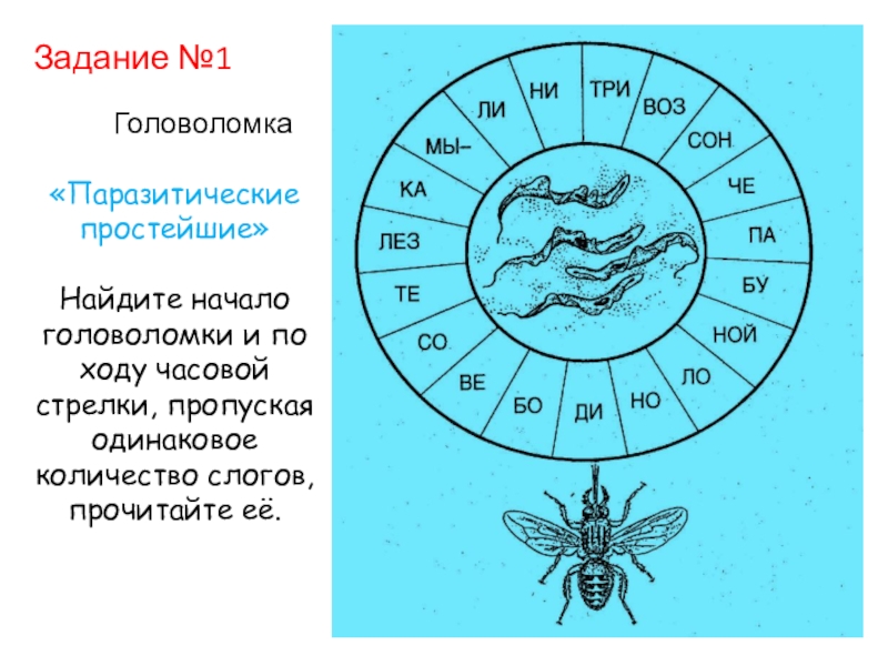 Ход часовой стрелки