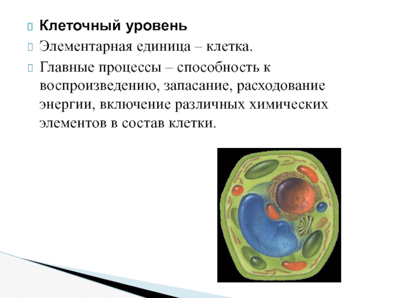 Клетка единица живого. Клеточный уровень организации элементарная единица. Уровни организации клетки 5 класс биология. Биология 9 класс клеточный уровень организации живого. Клеточный уровень организации живой материи.