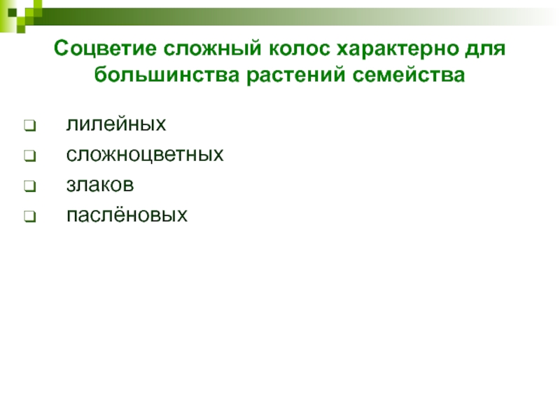 Соцветие сложный колос характерно для большинства растений семейства  лилейных   сложноцветных   злаков  паслёновых