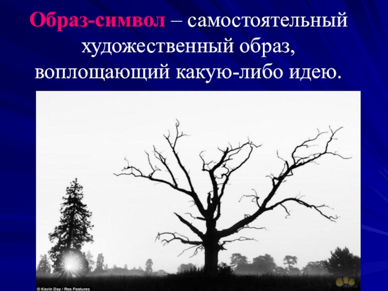 Какие образы символы. Образы символы. Образ-символ в литературе это. Символика образов в литературе. Определение 