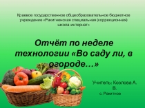 Отчёт по неделе технологии Во саду ли в огороде... в коррекционной школе 8 вида