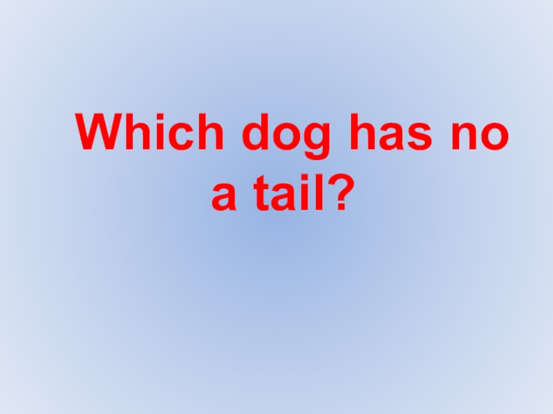 Two shakes of a lamb's tail. Wagtail лого. Idioms with dogs. With no tail перевод с английского. Идиомы с like.