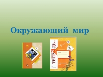 Презентация по окружающему миру на тему:Разнообразие растений