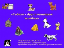 Презентация Собака - друг и помощник человека