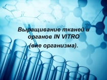 Выращивание тканей и органов IN VITRO (вне организма).