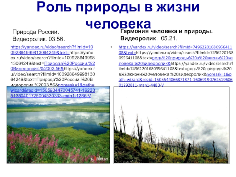 Роль природы. Роль в природе. Роль природы в жизни человека. Роль человека в природе. Роль природы в жизни человека сообщение.