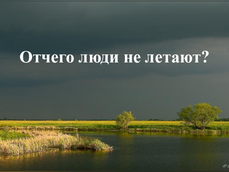 Отчего люди не летают