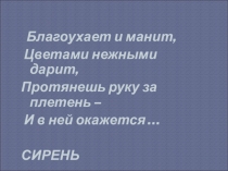 Презентация по русскому языку на тему Сочинение-описание натюрморта  П.П.Кончаловского Сирень (5 класс)