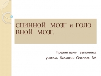 Презентация по биологии 8 класса Спинной и головной мозг