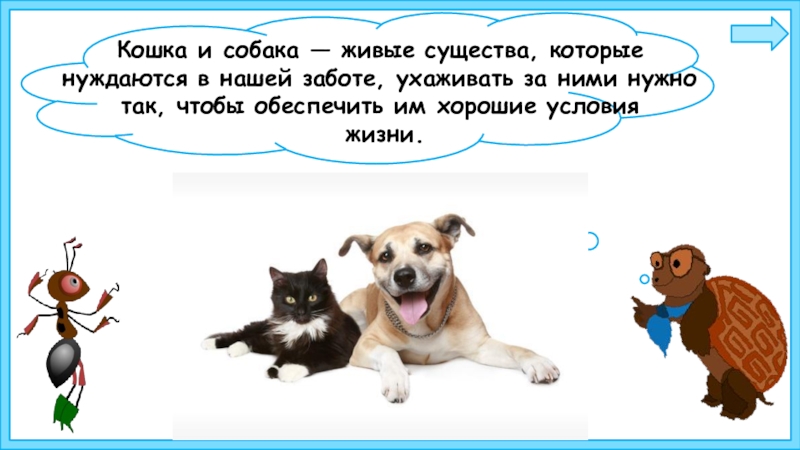 Доклад: Язык собак и кошек
