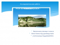 Презентация по окружающему миру Мой зеленый островок - Находка (2 класс)