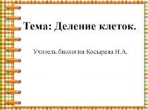 Презентация к уроку Деление клетки. Митоз