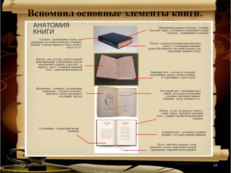 Части книги картинки для детей