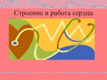 Презентация по биологии на тему Строение и работа сердца