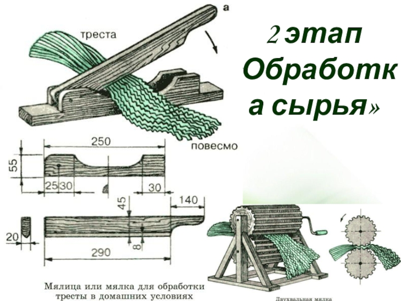 Получение экологической упаковки из крапивы проект