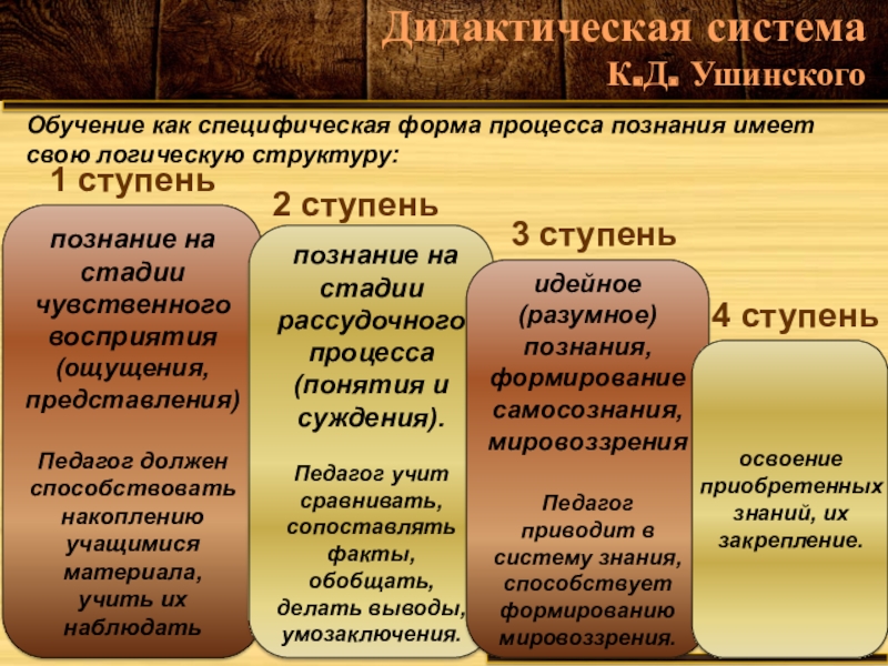 Дидактическая система ушинского презентация