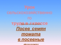 Презентация к уроку сельскохозяйственного труда