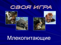 Презентация -Своя игра Млекопитающие