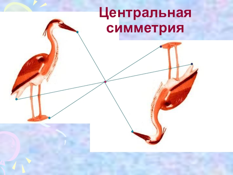 Центральная симметрия 6 класс математика видеоурок