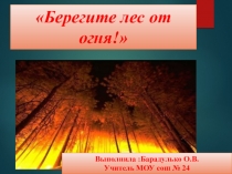 Презентация по русскому языку Береги лес от огня