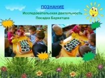 Презентация к проекту В к нам весна шагает.. в средней группе