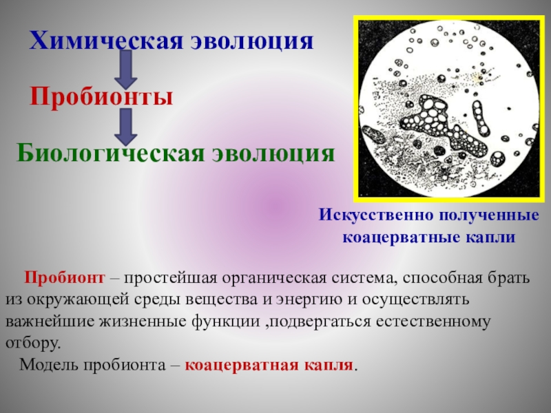 Схема перехода химической эволюции в биологическую