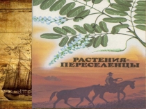 Презентация по биологии на тему Важнейшие сельскохозяйственные растения 6 класс