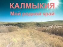 Презентация Мой любимый город-Элиста