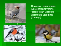 Презентация по окружающему миру Синичкин день