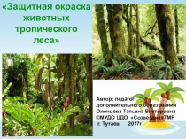 Презентация Защитная окраска животных тропического леса (дошкольникам)