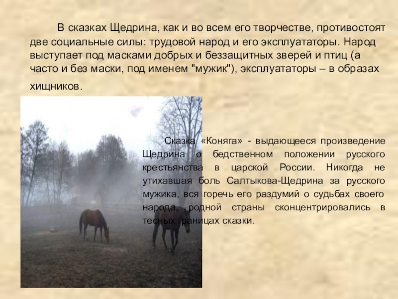 В сказках Щедрина, как и во всем его творчестве, противостоят две социальные