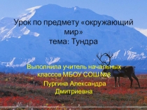 Презентация по окружающему миру на тему Тундра (4 класс) Планета знаний