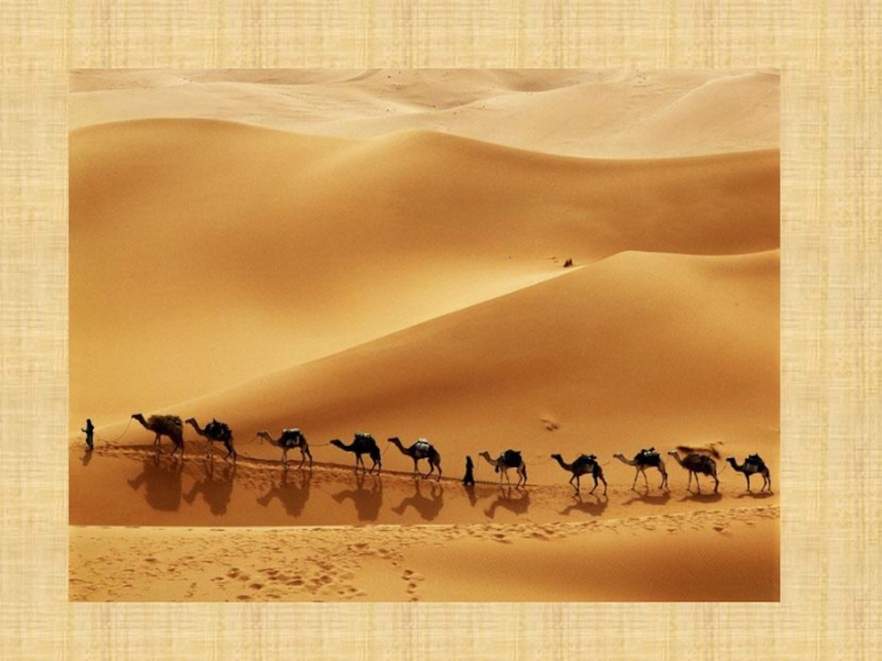 Караван 6 букв. Колодец в пустыне верблюд. Верблюды колодец Караван. Бумер Караван. Какой Караван может двигаться по пустыне.